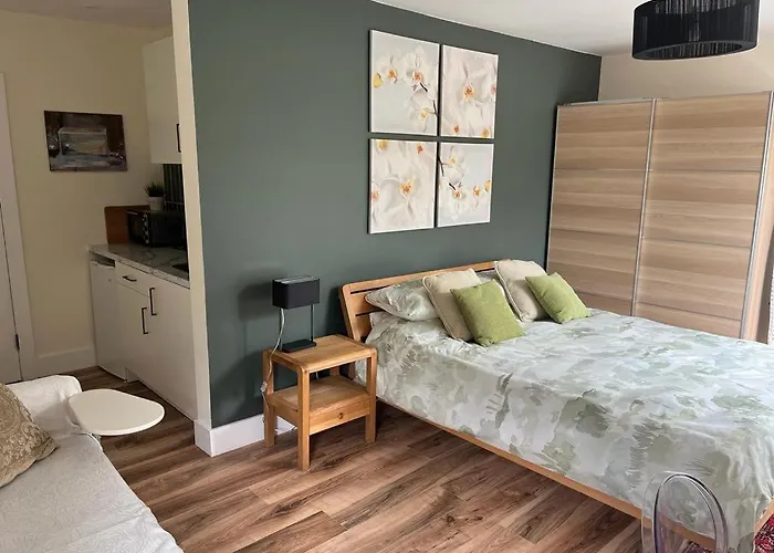 Studio Apartment Near Shannon Airport